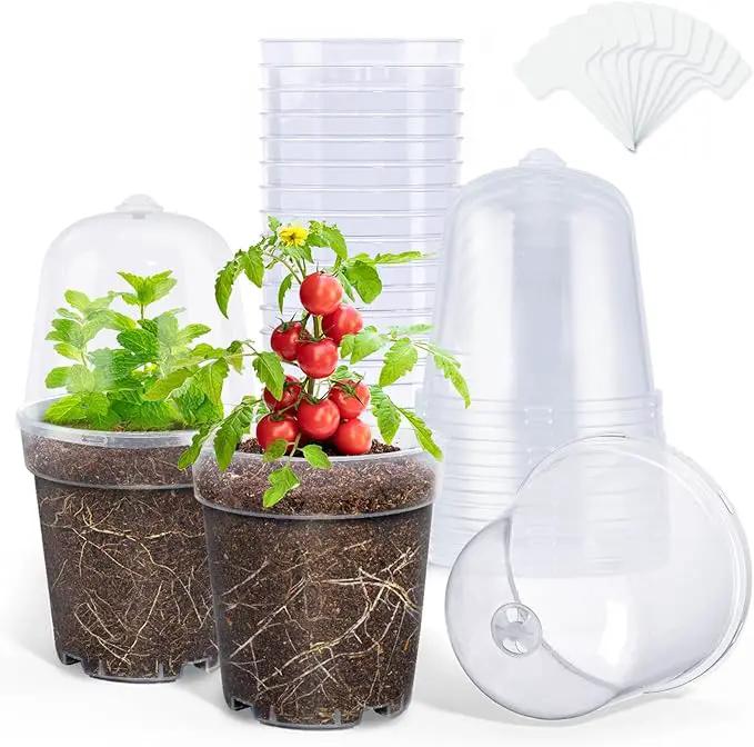 homenote Clear Nursery Pots for Plants,5 Inch Plant Pot for Planting with Humidity Domes Plastic Seedling with Drainage Holes Seed Starter Flower High Transparency (15 Pack) by GreenHaven Gardens