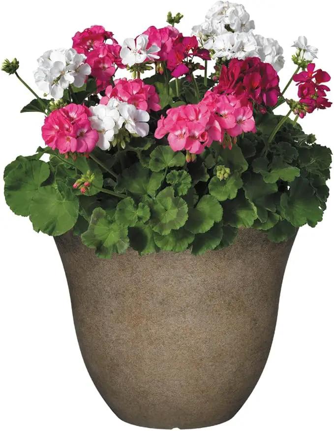 Classic Home and Garden Honeysuckle Planter, Patio Pot, 13" Fossil Stone (One Pack) (Pack of 4) by GreenHaven Gardens