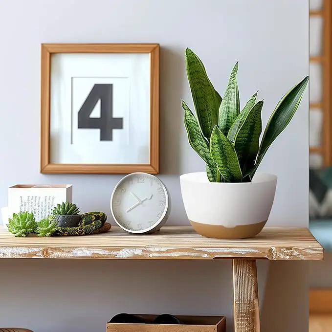 8/10/12 Inch Pots for Indoor Plants, Large Self Watering Planters with Drainage and Saucers, Plastic Outdoor Flower Pot, Set of 3, White by GreenHaven Gardens