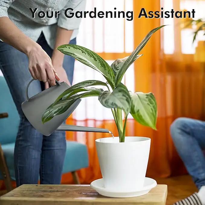 Watering Can for Indoor Outdoor Plants, Modern Small Watering Cans with Removable Nozzle, Long Spout Watering Can for Indoor Bonsai Plants Garden Flowers 1/2 Gallon 1.8L 60OZ (Gray) by GreenHaven Gardens