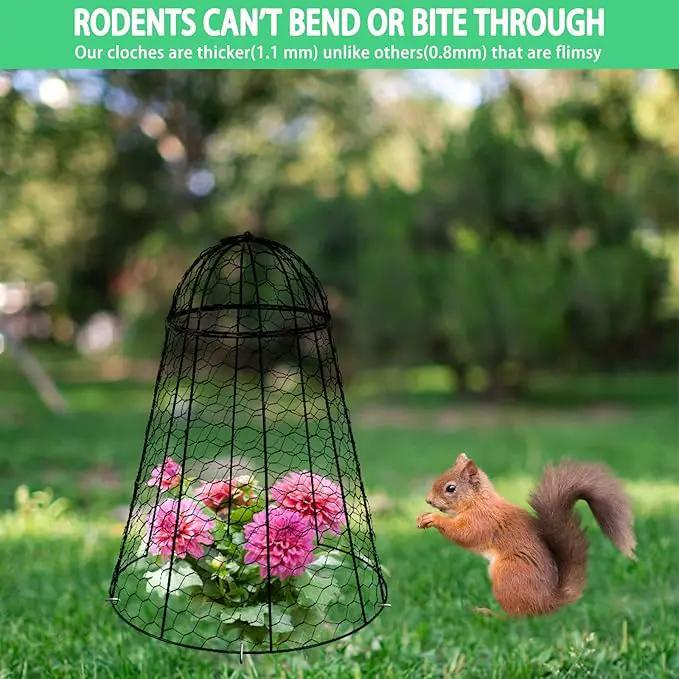 Garden Cloches for Plants Extra Large Sapbontchi Garden Cloche Chicken Wire Cloche for Plants Cages Cover Plant Protectors from Animals in Outdoor Vegetable Garden Set of 6 Plant Cloche 20" H x 12" D by GreenHaven Gardens