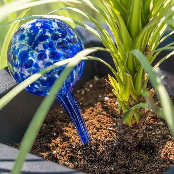 Evelots Plant Watering Globes (3 Pack) - Hand Blown Glass - Automatic Water Irrigation System - Indoor/Outdoor - Leave Your Home Worry Free by GreenHaven Gardens