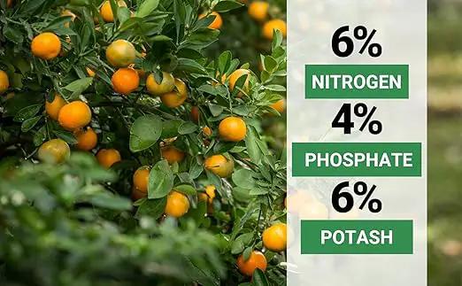 6-4-6 Avocado, Mango Citrus Tree Professional Fertilizer, Plant Food Outdoor/Indoor Gardening; Quick-Release Nitrogen Fertilizer; Orange, Lime, Avocado and Lemon Tree Fertilizer (1/2 QUART) by GreenHaven Gardens