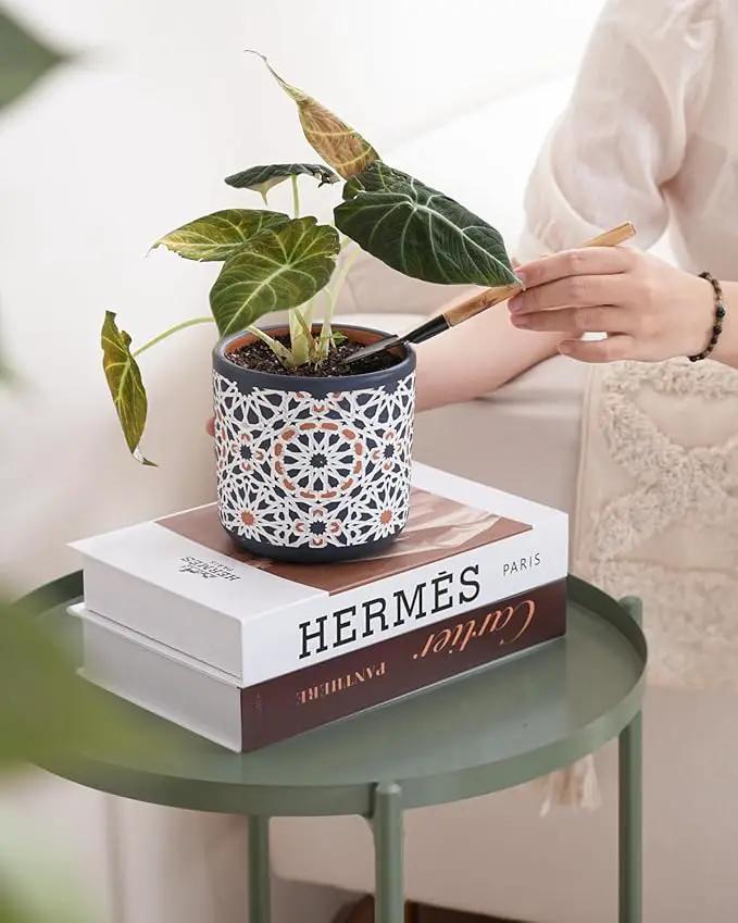 2 Pack Ceramic Flower Pots for Indoor Plants, 5 Inch Boho Plant Pot with Drainage Holes,Modern Planter for Decorative Succulents/Snake Plant/Orchid/Peace Lily/House Plants(Blue) by GreenHaven Gardens