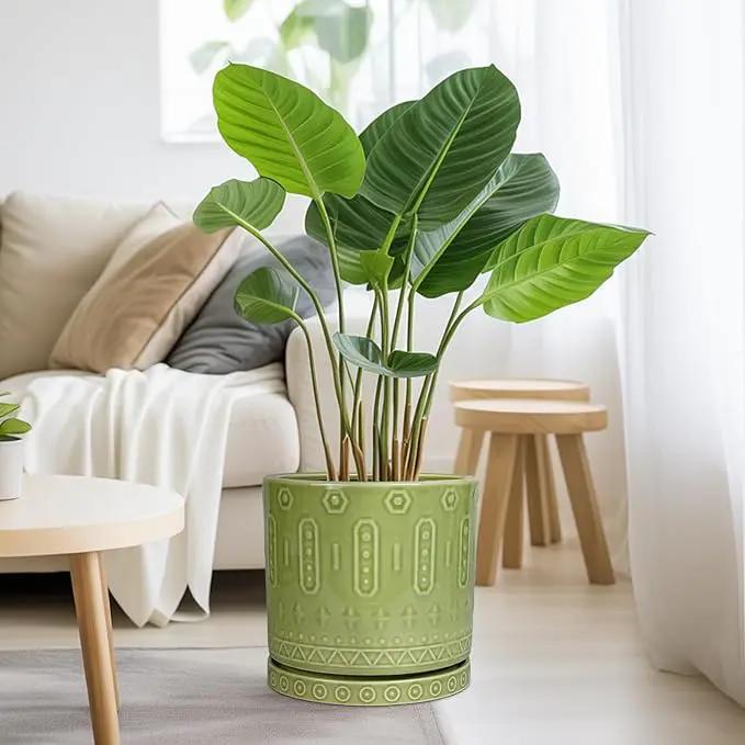 Ceramic Pot for Plants - 10 Inch Indoor Plant Pots with Drainage Holes and Saucer, Boho Round Planter Outdoor, Decorative Large Planter for Flower, Living Room Decor, Garden Gifts, Green by GreenHaven Gardens
