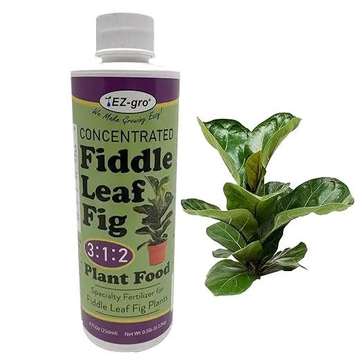 EZ-GRO Liquid Fiddle Leaf Fig Plant Food - 8 oz Bottle | 3 1 2 NPK Fertilizer for Indoor Plants | Concentrated Nutrients Liquid Indoor Plant Food for Healthy Growth by GreenHaven Gardens