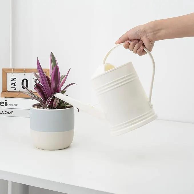 Plastic Indoor Watering Can with Sprinkler Head - 68 oz, 1/2 Gallon by GreenHaven Gardens