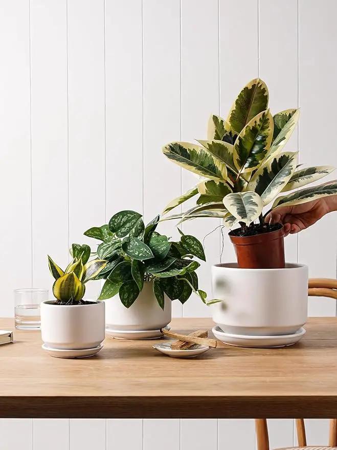 LE TAUCI Ceramic Plant Pots, 4.3+5.3+6.8 inch, Set of 3, Planters with Drainage Hole and Saucer, Indoor Flower Pot with Hole Mesh Pad, Gifts for Mom, White by GreenHaven Gardens