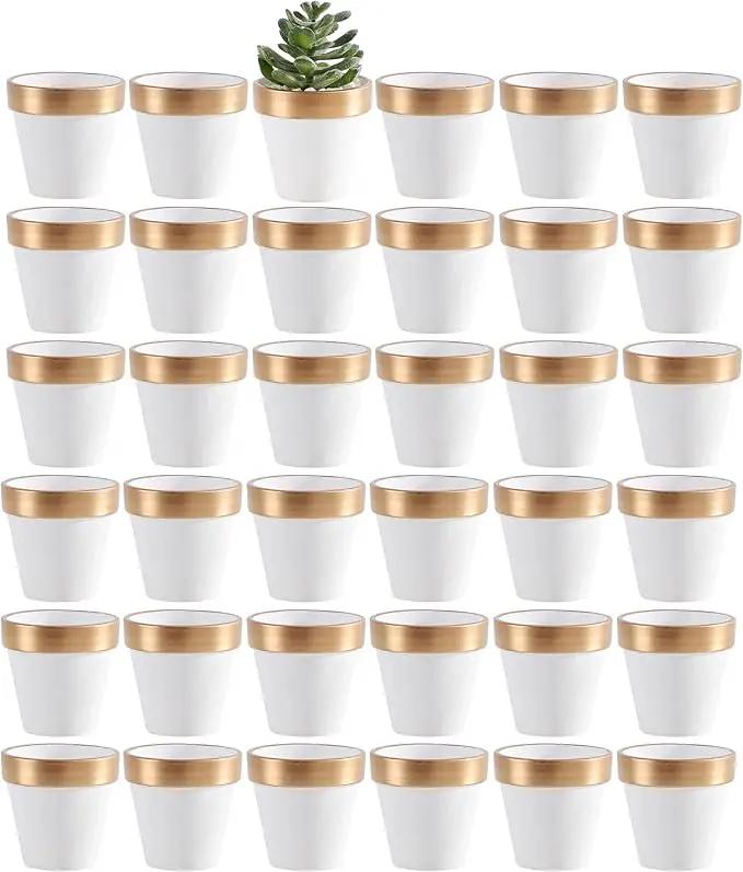 Yishang 36 pcs Small Mini White&Gold Clay Pots, 2.5'' Terracotta Pot Clay Ceramic Pottery Planter,Cactus Flower Terra Cotta Pots,Succulents Nursery Pots,with Drainage Hole, for Crafts,Wedding Favor by GreenHaven Gardens