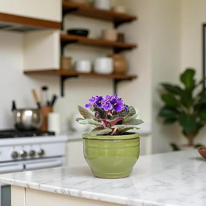 African Violet Pots Self Watering Round Ceramic Violet Pot (Green, 6 inch) by GreenHaven Gardens