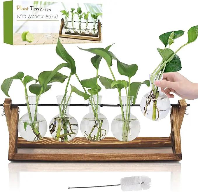 Plant Propagation Station, Propagation Vases for Plants, Unique Gardening Birthday Gifts for Women Plant Lovers Mom Best Friend - 5 Bulb Glass Vases by GreenHaven Gardens