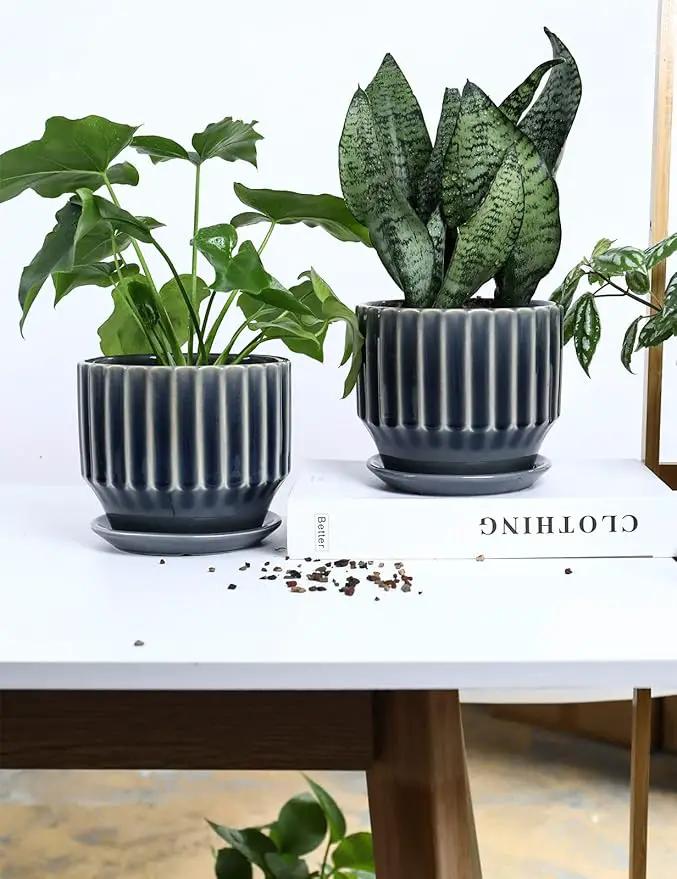 AISBUGUR Plant Pots 6 inch Ceramic Pots for Indoor Plants Set of 2 Flower Pots Unique Crackle Glaze Design Plant Pots with Drainage Hole and Saucer Come with Drainage Nets (Grey) by GreenHaven Gardens