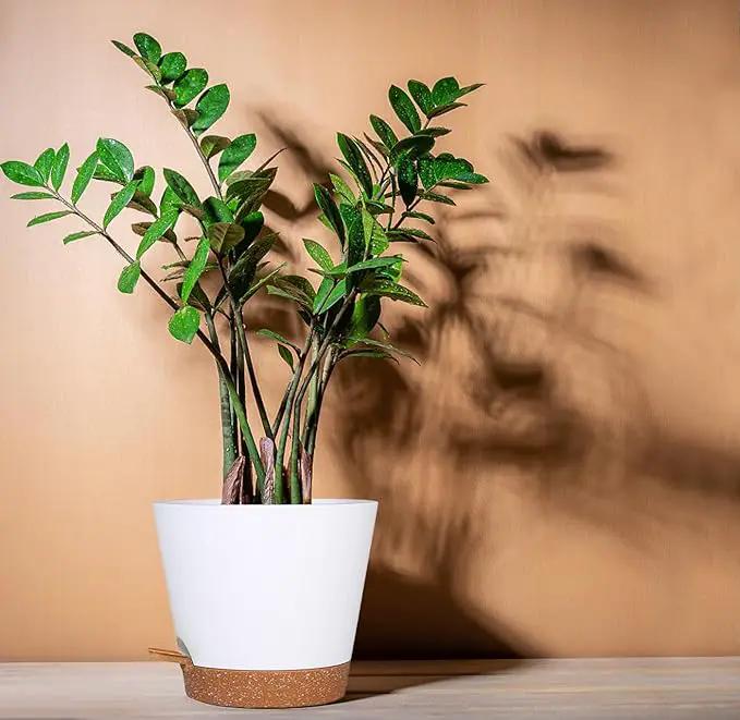 12+12Inch 2Pack Large Flower Pots for Indoor/Outdoor Plants,Self Watering Planters with Reservoir and Drainage Hole White Plastic Planting Pots Modern Home Decor Gift Idea by GreenHaven Gardens