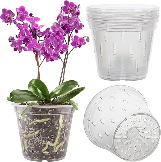 REMIAWY Orchid Pot, 6 Pack Orchid Pots with Holes, 5.5 Inch Clear Plastic Flower Planters for Repotting Indoor Outdoor, Breathable Slotted Nursery Planter by GreenHaven Gardens
