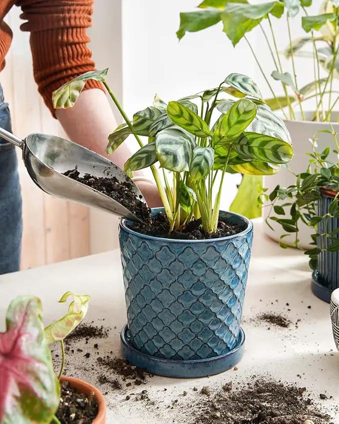 LE TAUCI Ceramic Pots for Plants, 5.5 Inch Plant Pots with Drainage Hole and Saucer, Indoor Plant Pots for Succulent, Snake Plants and Cactus, Flower Pots, Set of 2, Reactive Glaze Blue by GreenHaven Gardens