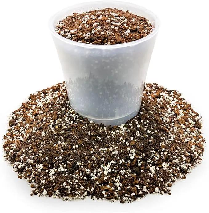 House Plant and Tropical Plant Potting Soil - Re-Potting Soil for All Types of Indoor House Plants - 5 Quart Bag by GreenHaven Gardens