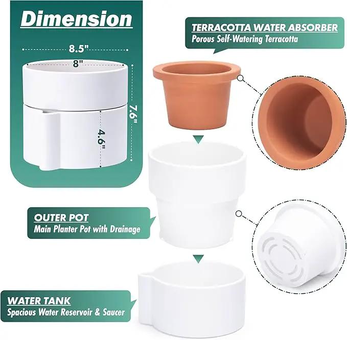 Phoenix Vine 8 Inch Self-Watering Planter Pot with Terracotta Insert, Deep Water Reservoir, and Ceramic-Alike BPA-Free Plastic Planter Pot for Plant, Modern Planter for Houseplants, White, 53-A-T-1 by GreenHaven Gardens