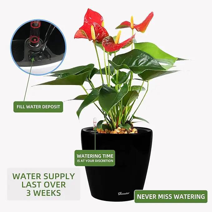 Dexceder 15x14 Self Watering Planter with Wheels Indoor Outdoor, Inner Pot Design, Thickened Large Floor Standing Flower Plant Pot with Water Level Indicator (Black Matte) by GreenHaven Gardens