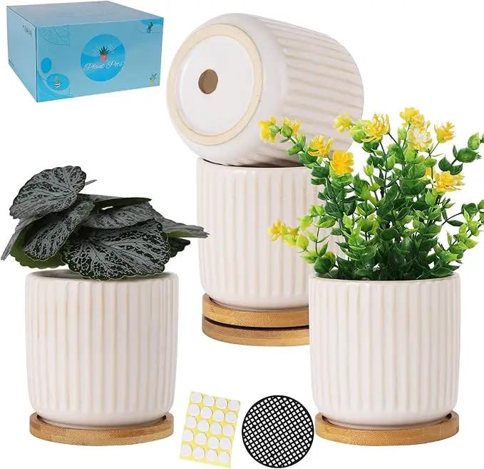 TAMAYKIM 4 Inch Ceramic Plant Pots with Drainage Holes, Modern Flower Planter with Saucer for Indoor Plants, Succulent, Cactus & Herbs, White, Set of 4 (Plants Not Included) by GreenHaven Gardens