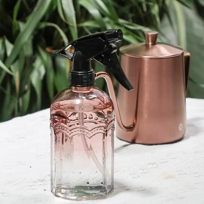 OFFIDIX Watering Can for Indoor Plants Long Spout Metal Stainless Steel 21 oz/600 ml Small Watering Can with 14 oz/400ml Glass Plant Mister Spray Bottle for Plants Bonsai by GreenHaven Gardens