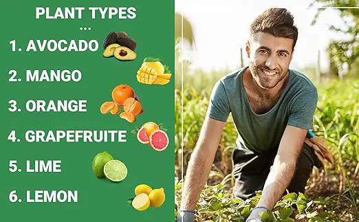 6-4-6 Avocado and Citrus Tree Professional Fertilizer Plant Food for Outdoor/Indoor Gardening; Quick-Release Nitrogen Fertilizer; Orange, Lime, Avocado and Lemon Tree Fertilizer (4 QUARTS) by GreenHaven Gardens