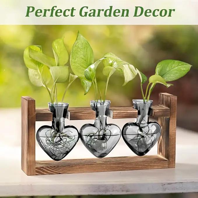 Lifecapido Heart Shaped Propagation Stations, Plant Terrarium with Wooden Stand, Plant Propagation Station for Hydroponics Plants Office Garden Home Decor, Gifts for Women Plant Lover (3 Vases, Gray) by GreenHaven Gardens