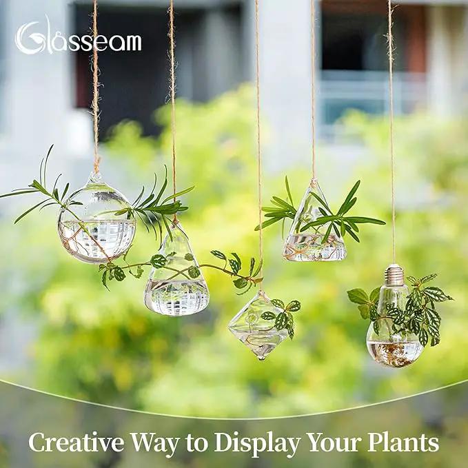 Glasseam Hanging Planters Glass Terrarium: 5Pcs Modern Plant Propagation Stations Hydroponic Wall Vases for Air Plants Flowers Indoor Window Home Decor by GreenHaven Gardens