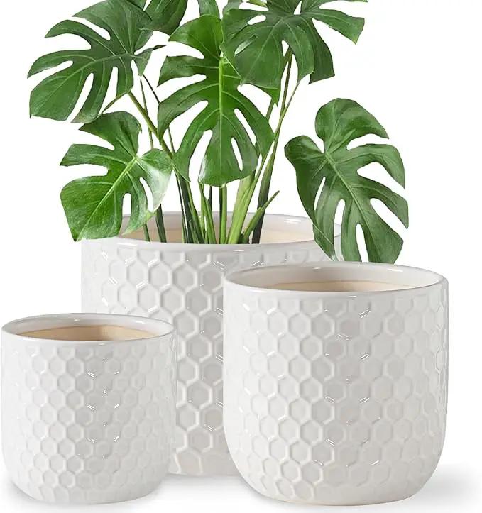 Docrin Ceramic Plant Pots Indoor: 6.5+5.3+4 Inch Planters with Drainage Holes for Home/Office - Set of 3 / White Honeycomb by GreenHaven Gardens