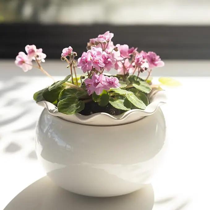 African Violet Pots 6 Inches Ceramic, Effortless Self Watering Pots for Indoor Plants for Busy Plant Lovers, Easy Plant Self Watering Pot, Plant Pots, Flower Pot, Plant pots Indoor by GreenHaven Gardens
