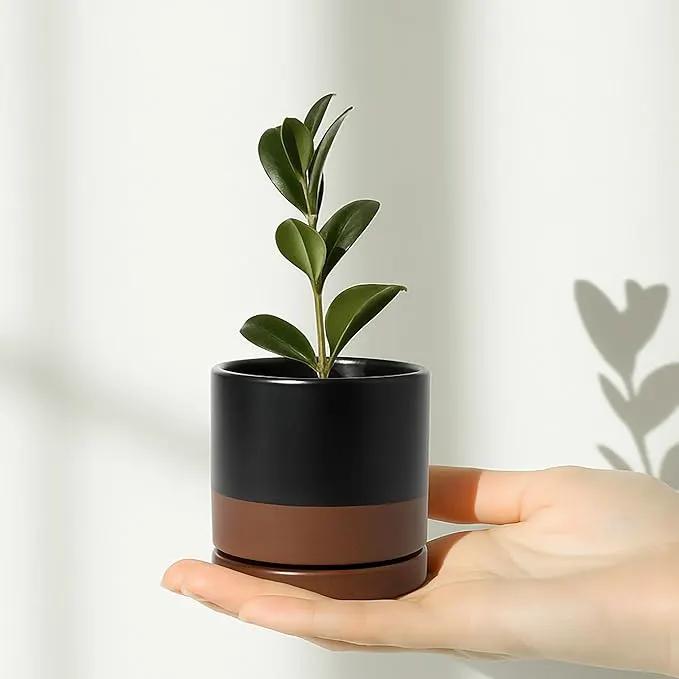 D'vine Dev Set of 2 Plants Pots, 3.5 Inch Ceramic Planter Pot for Plants with Drainage Hole and Saucer, Black/Speckled Tan, 94-V-A-7 by GreenHaven Gardens