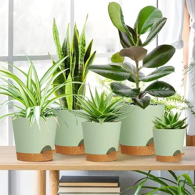 7/6.5/6/5.5/5/4 inch Self Watering Pots for Indoor Outdoor Plants, 6 Pack Plastic Flower Planters with Drainage Holes and Removable Saucers, Plant Pots with Wicking Rope, Green Brown by GreenHaven Gardens