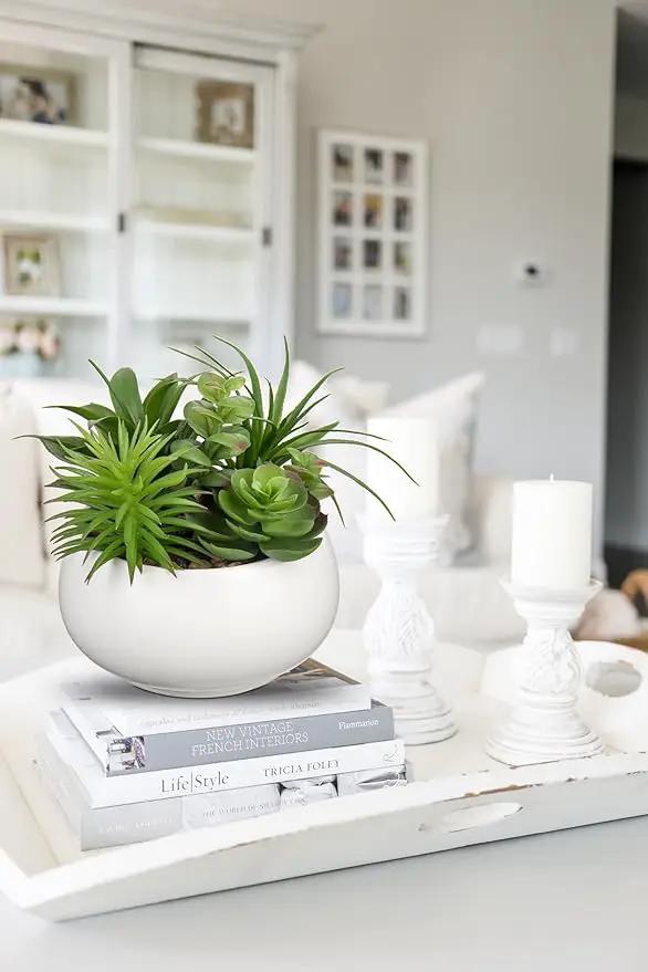 Fake Plants Artificial Succulents in Pots Faux Succulent Arrangement Potted Plant in White Ceramic Planter Bowl for Home Decor Office Desk Bathroom Shelf Living Room Indoor Decorations by GreenHaven Gardens