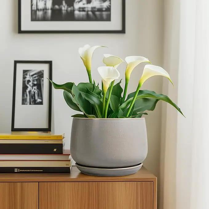 G EPGardening Ceramic Planter 9 Inch - Round Modern Plant Pots with Drainage and Plant Saucer Indoor Outdoor for Flower, Vanity Decor, House Gifts, Retro Grey by GreenHaven Gardens
