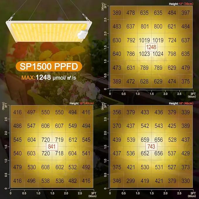 LED Grow Light, SP1500 Sunlike Full Spectrum Dimmable Plant Lights with Thermometer, Growing Lamps for Indoor Plants Seedlings Veg Bloom 4.5x4.5ft by GreenHaven Gardens