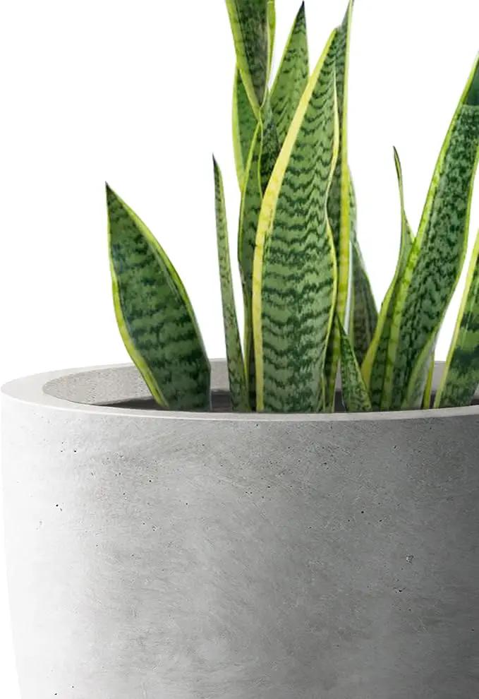 Kante 18 Inch Dia Round Concrete Planter, Indoor Outdoor Large Plant Pot with Drainage Hole and Rubber Plug for Home Patio Garden, Natural Concrete by GreenHaven Gardens