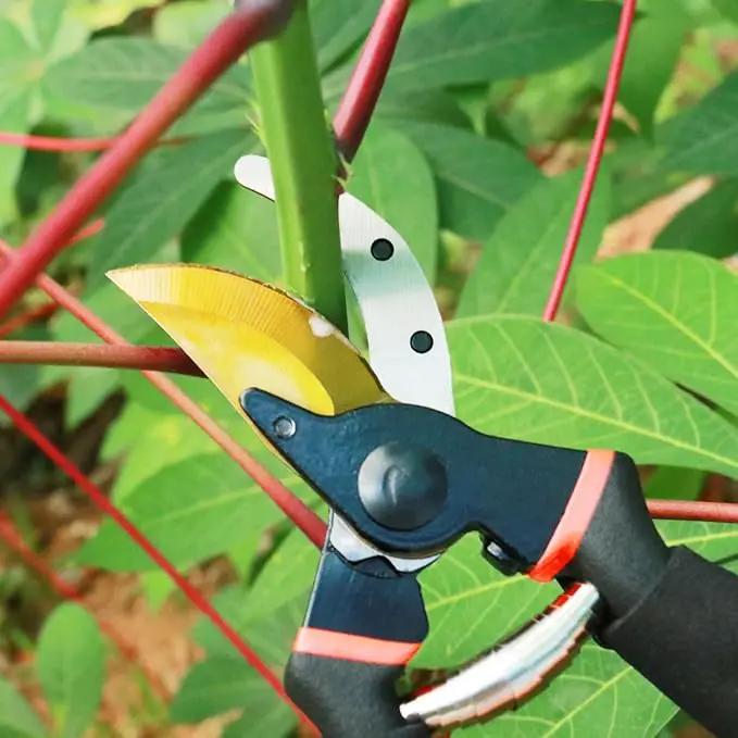 Garden Shears, Sharp Pruners for Gardening with Locking Mechanism, Ideal for Trimming, Harvesting by GreenHaven Gardens