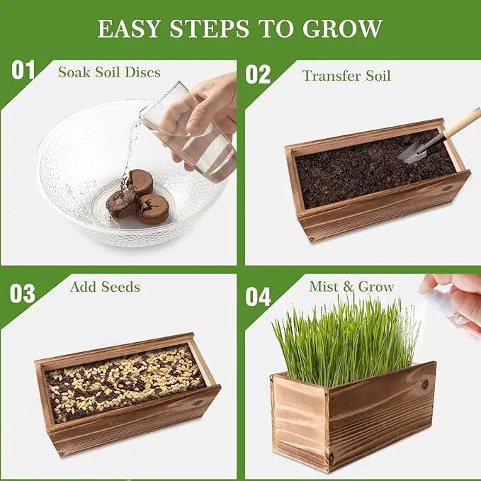 Cat Grass Kit for Indoor Cats - 5X Seed Packets with Handmade Wood Planter | Grow Organic Non-GMO Wheat Grass in 4-7 Days, Aids Digestion & Hairball Control, Ideal Gift for Cat Lovers by GreenHaven Gardens