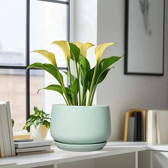 G EPGardening Ceramic Pots for Plants - 9 Inch Ceramic Planter with Drainage and Saucer, Round Planter for Indoor Outdoor Plants, Modern Flower Pots, Garden Decor, Birthday Gifts, Green by GreenHaven Gardens
