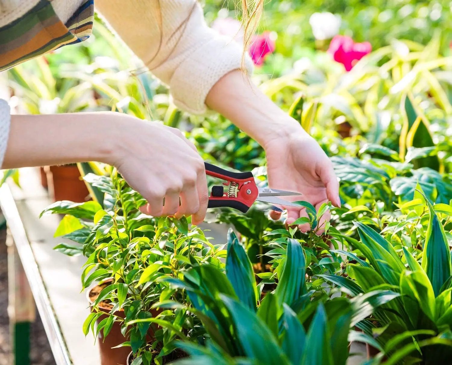 TABOR TOOLS 2-Pack Micro-Tip Pruners with Straight Blades and Fine Tip, Florist Scissors, Garden Snips with Stainless-Steel Non-Stick Precision Blades (2 Pack) (K27A) by GreenHaven Gardens