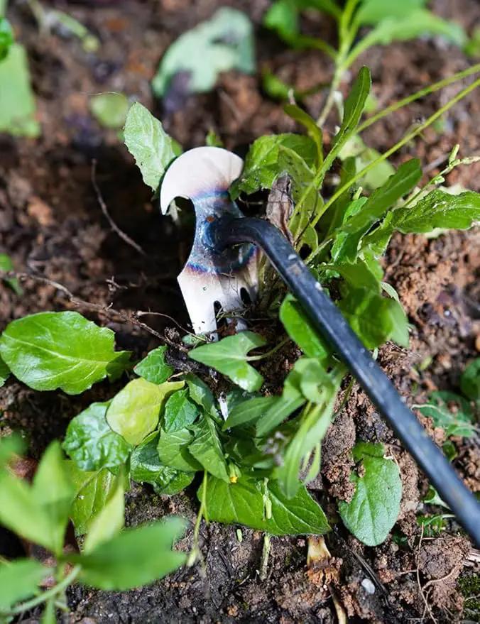 TOYPOPOR New Weeding Artifact Uprooting Weeding Tool, 16" Weed Puller, 4 Teeth Manganese Steel Forged Hand Pulling Weeder for Garden Yard Farm Weed Removal by GreenHaven Gardens