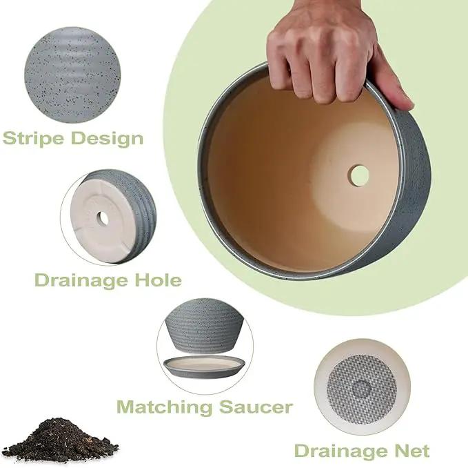 10 Inch Plant Pot, Ceramic Planters for Indoor Plants with Drainage and Saucer, Large Flower Pot for Home and Garden Decor, Light Gray by GreenHaven Gardens