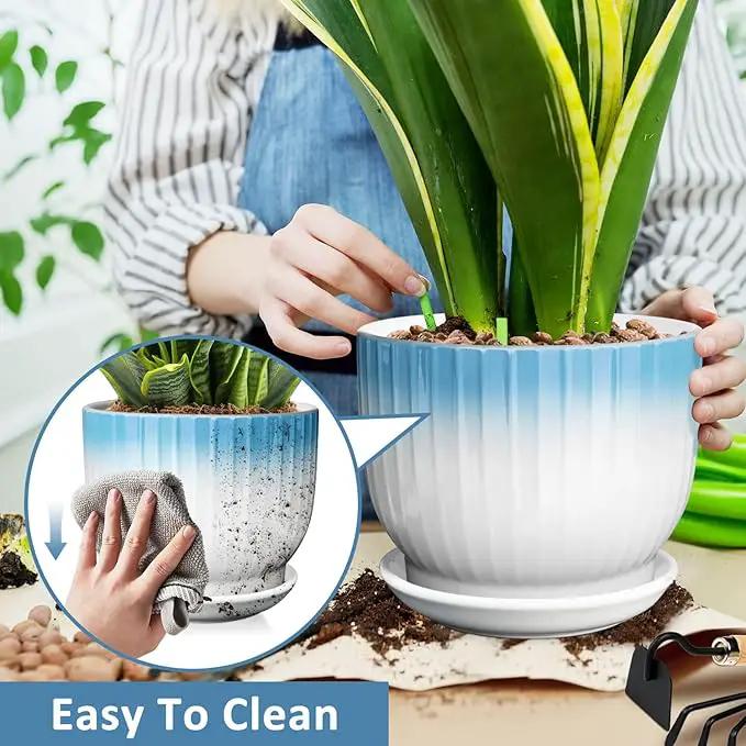 8 Inch Plant Pot, Ceramic Planter with Drainage and Saucer, Ceramic Pots for Plants, Indoor Plant pots,Ceramic Flower pots(Blue + White, Plants NOT Included) by GreenHaven Gardens