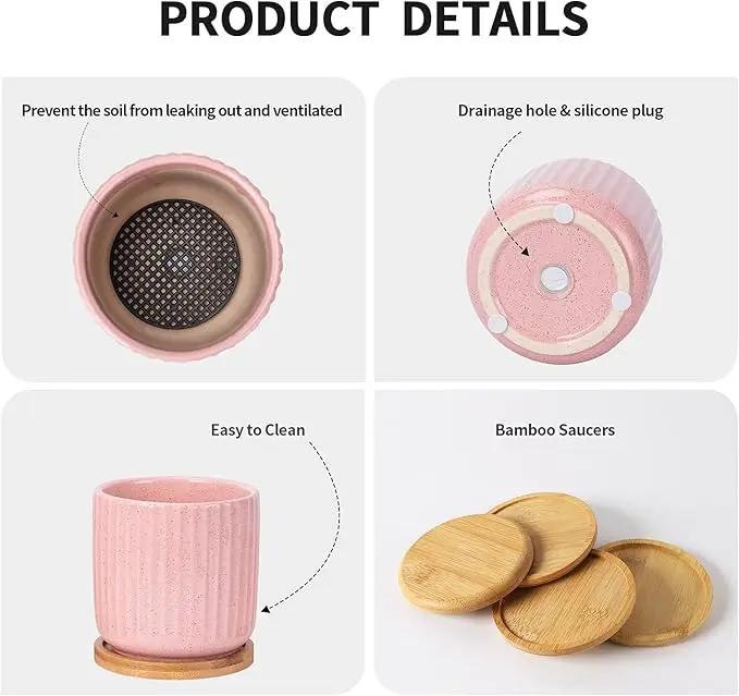 OMAYKEY 4 Inch Ceramic Plant Pot with Saucer, Adorable Stripe Multicolor Small Planters Pots with Drainage Hole & Mesh Pads for Succulent, Snake Plants, Cactus, Herbs - Set of 4 by GreenHaven Gardens