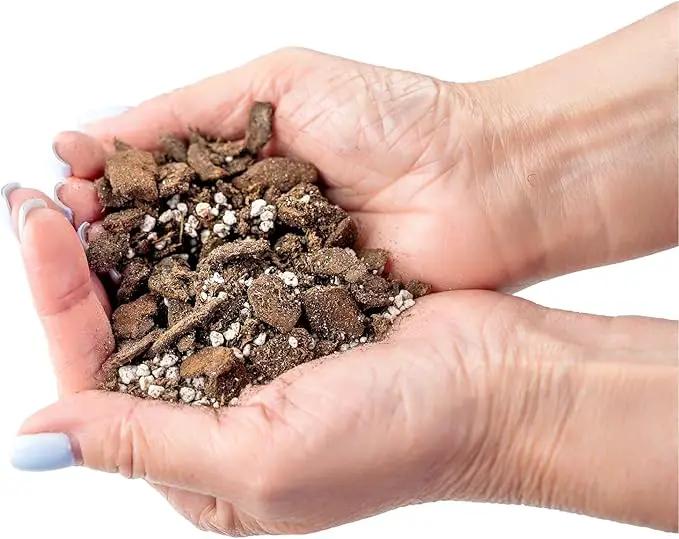 Professional Succulent Soil Premium All Purpose Blend | Pre-Mixed Ready to Use for Cactus and Succulents | Sphagnum Peat Moss, Perlite, New Zealand Pine Bark - Made in USA - 3 Quart by GreenHaven Gardens