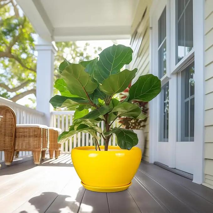 Ceramic Planter for Indoor Plants - 13 Inch Mid-Century Decorative Modern Large Plant Pot with Drainage Hole and Saucer, Home Balcony House Garden Patio Room Office Decor, Yellow by GreenHaven Gardens