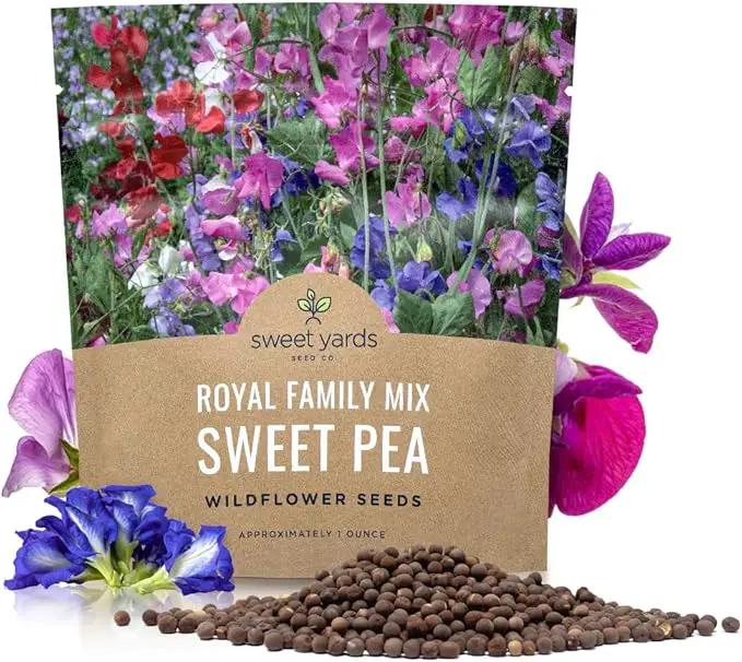 Sweet Pea Seeds Royal Mix - Bulk 1 Ounce Packet - Over 350 Seeds - Large Fragrant Lavender, Purple, Red, Pink and White Blooms by GreenHaven Gardens