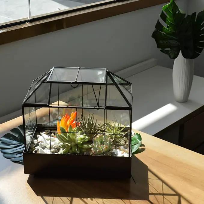 Large Tall Plant Terrarium Glass Greenhouse with Lid and Tray, Indoor Tabletop Orchid Succulent Cacti Kit 9.5'X9.8'X5.6' by GreenHaven Gardens
