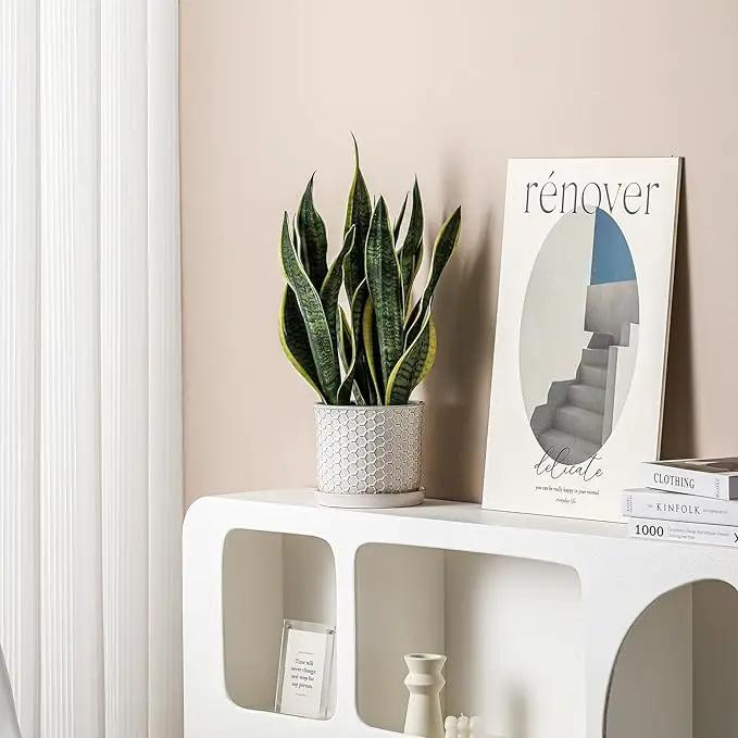 8 Inch Plant Pot: Ceramic Planter with Drainage Hole & Saucer - Flowerpot for Indoor & Outdoor Plants with Separate Tray for Home & Office - Honeycomb Design, Cream White by GreenHaven Gardens