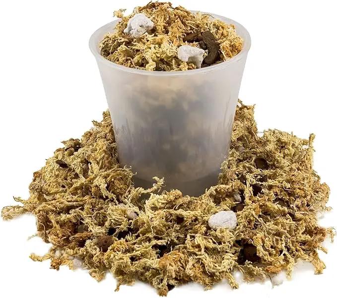 Premium Phalaenopsis Imperial Orchid Potting Mix - Hand Mixed in Small Batches | Great for Phalaenopsis of All Kinds - by GARDENERA - 20 Quart by GreenHaven Gardens
