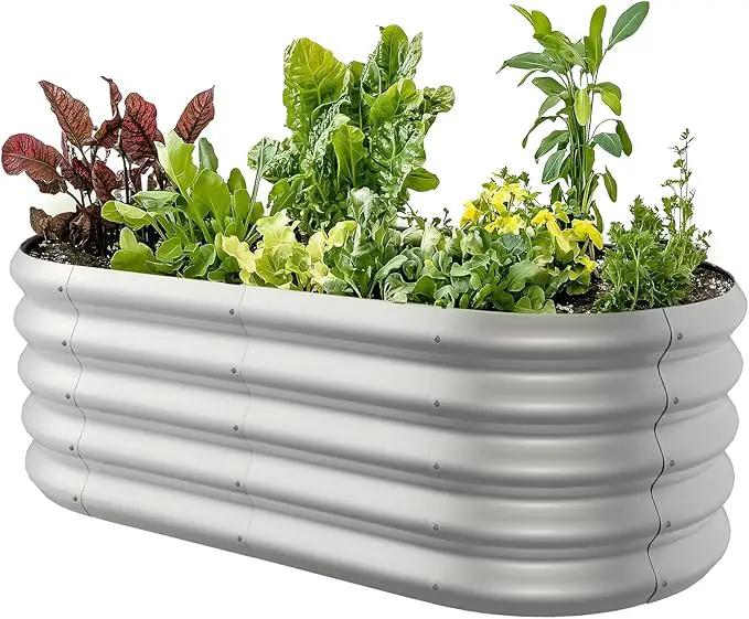 4x2ft Oval Galvanized Raised Garden Bed Kits 16" Tall Outdoor Large Metal Modular Planter Box 9-in-1 Raised Beds for Gardening,Vegetables,Fruits,Flowers & Herbs (Silver) by GreenHaven Gardens